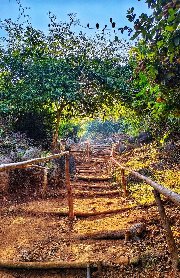 A dirt path with wooden steps and handrails winds through a lush, green forest. Sunlight filters through the trees, casting dappled shadows on the ground