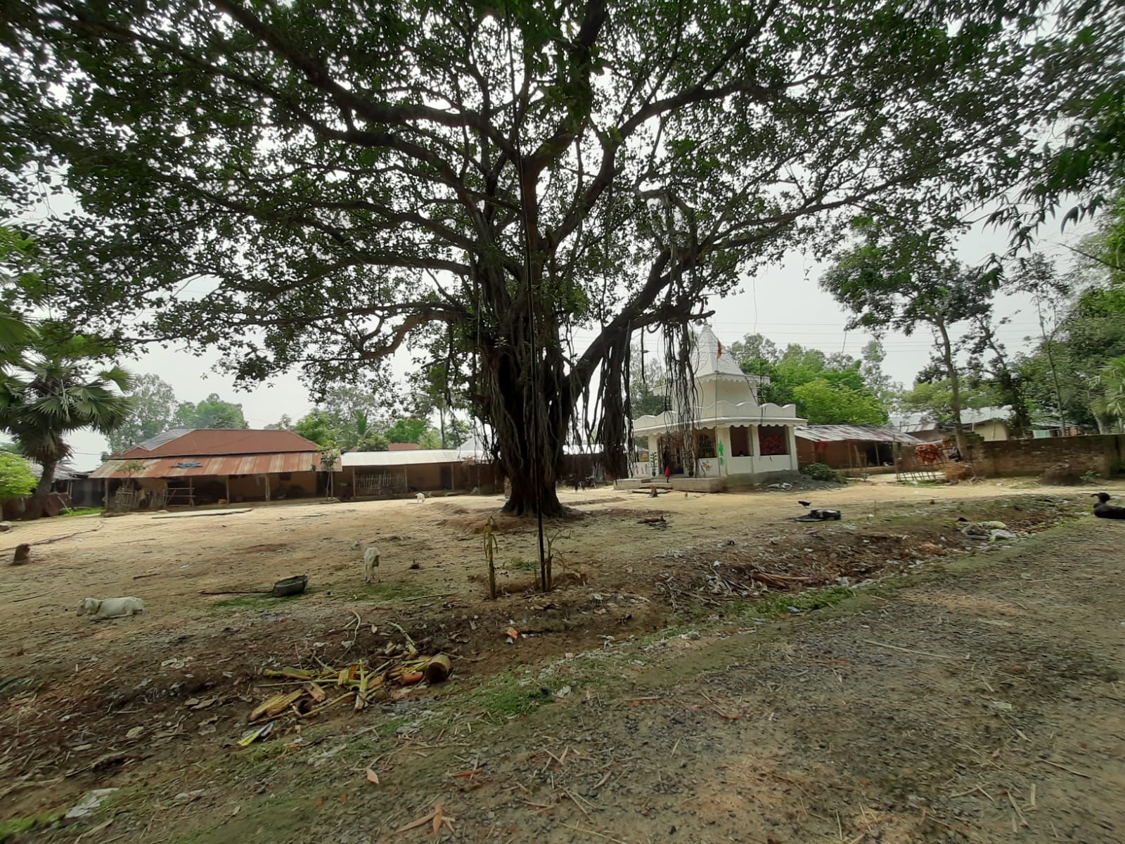 Kakadighi Kali Mandir