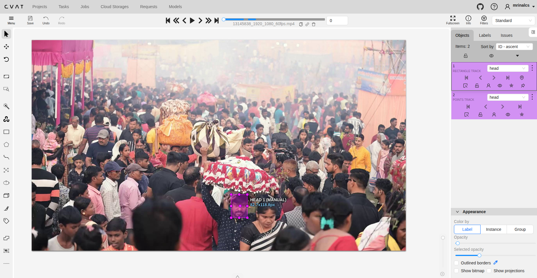 CVAT Video: Vibrant Hindu Festival