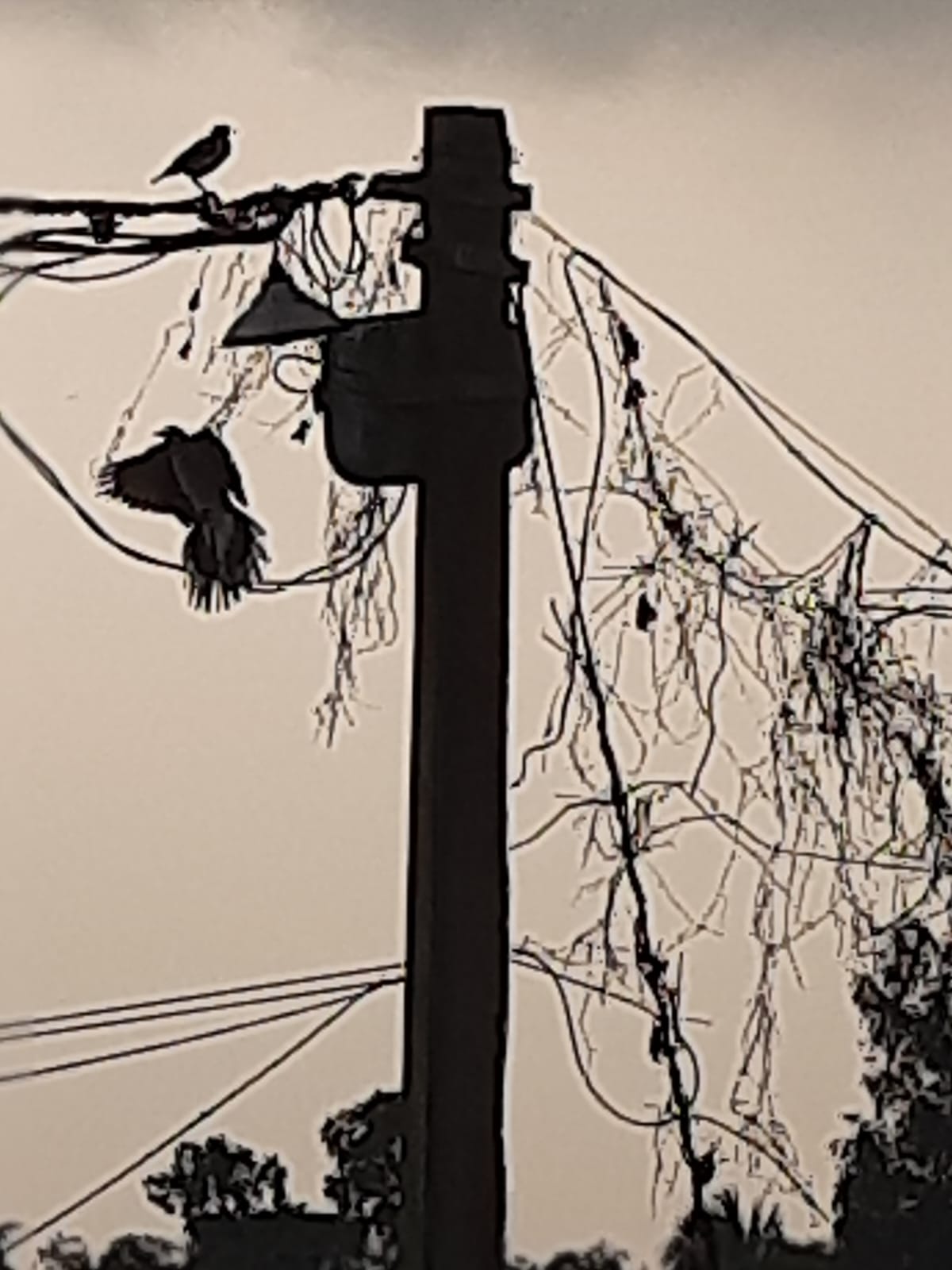 Black and white photo of birds perched on wires and a utility pole against a dark, stormy sky