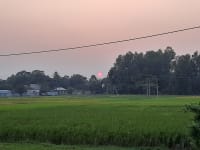 Sunset in fields and trees