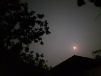 Moon peeking through the trees in the night sky. No electricity in the village house, but the moonlight is enough