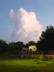 Cumulonimbus cloud dominates the sky over buildings and trees below portrate image